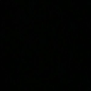 Meet your Posher, Leo